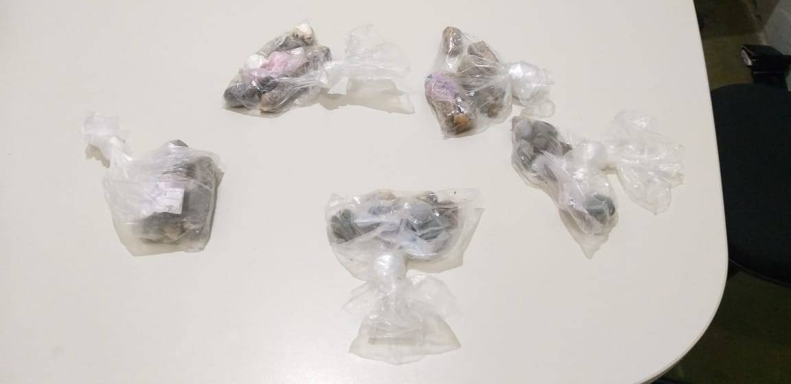 Criatividade: Sejus intercepta entrada de drogas na Penitenciária de Floriano